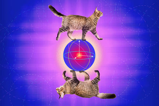 Yale quantum researchers create an error-correcting cat